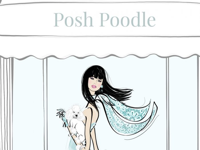 Posh-Poodle-1920x1080-3